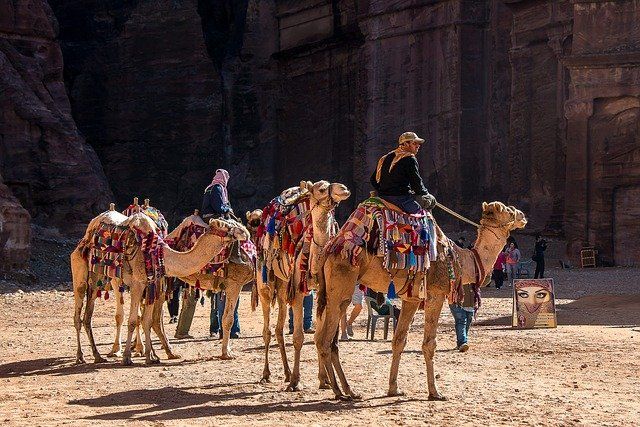 Camel caravan and its guide