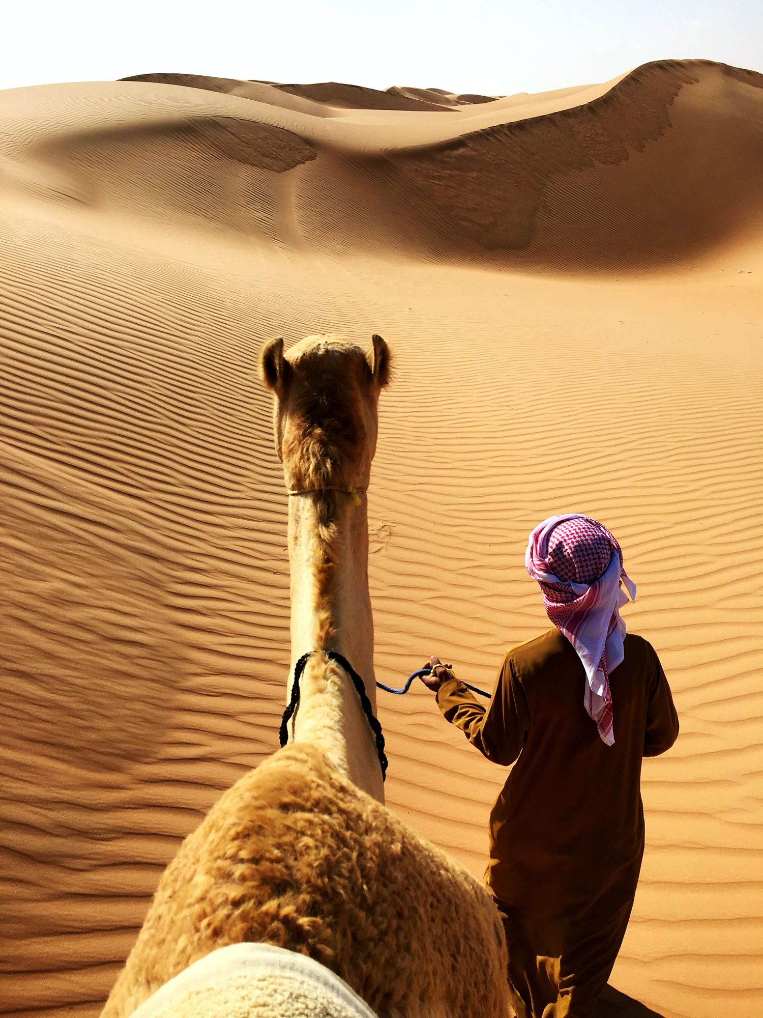 Camel herder in the dunes