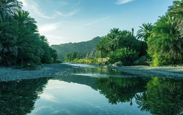 Green-water wadi lined with palm trees