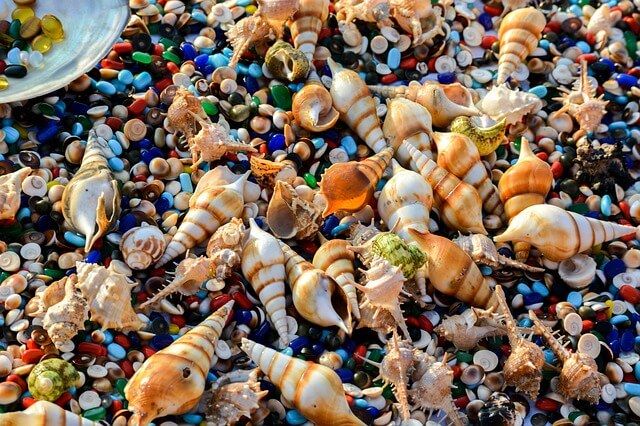 Colourful shells on a beach
