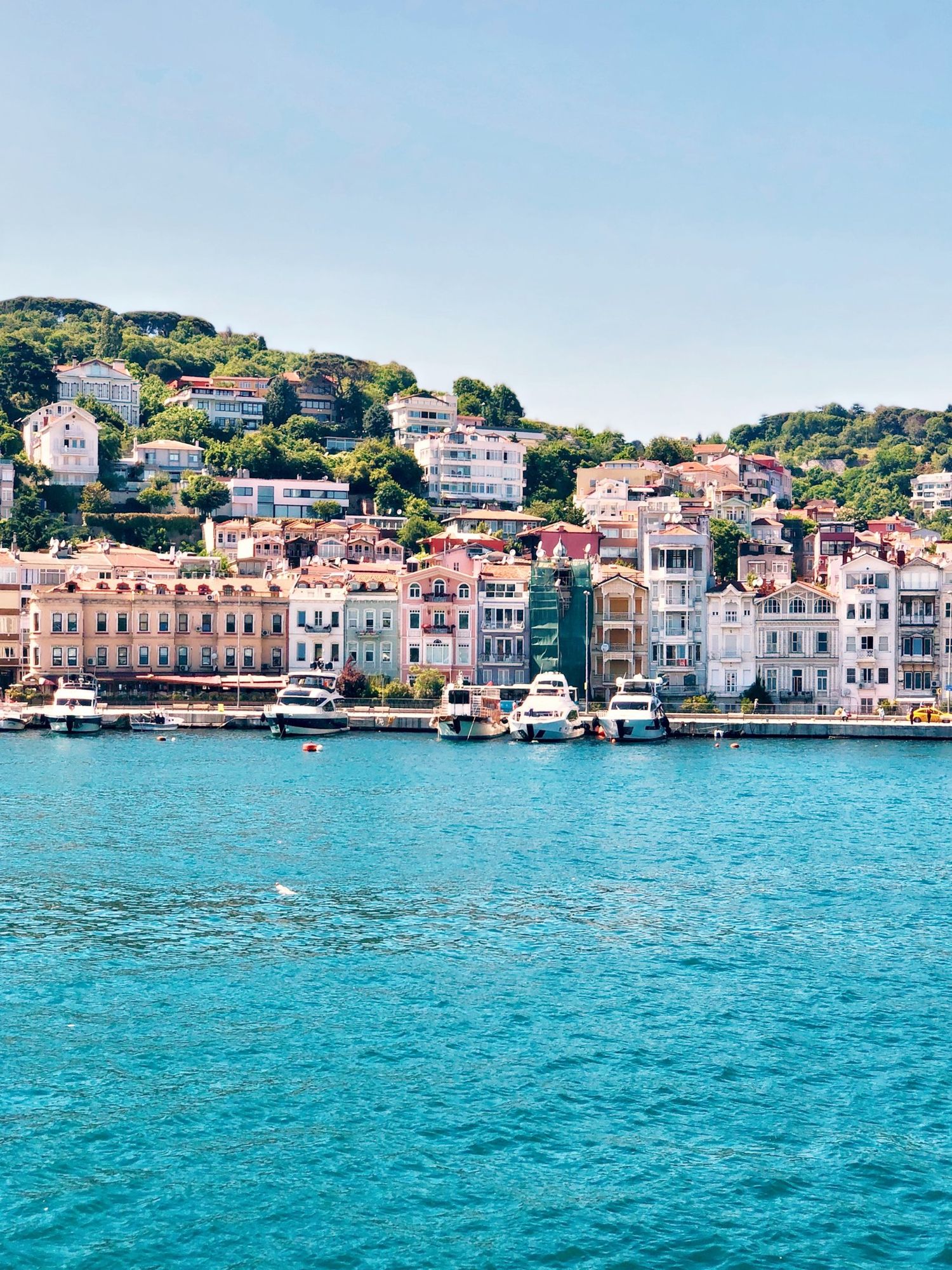Harbour and colourful houses by the sea